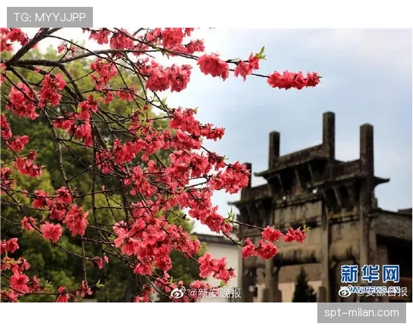 十里桃花林、黄山八面厅串联赛道，体育民间外交促进文旅融合